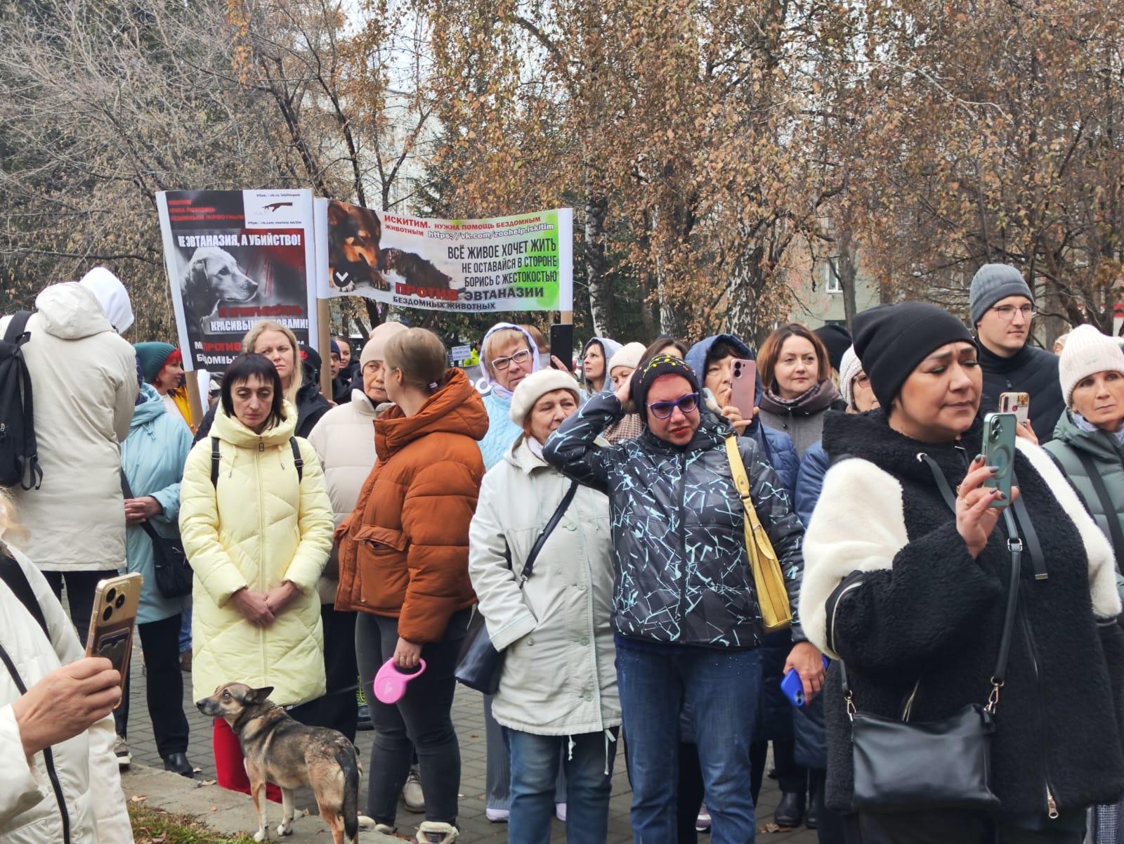 Фото «Всё живое хочет жить!»: сотни новосибирцев вышли на митинг против закона об умерщвлении бездомных собак. Фоторепортаж 6